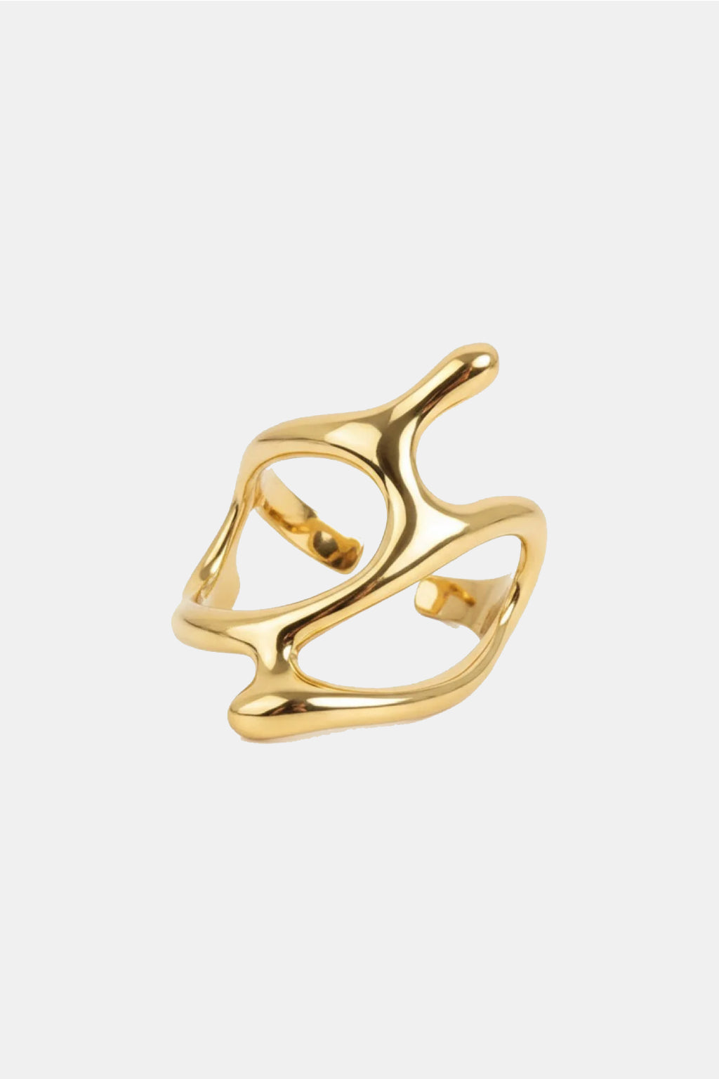 Liquid ring