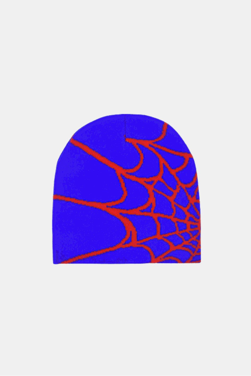 Spider web beanie